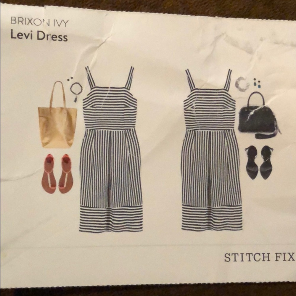 Stitchfix Braxton Ivy Levi Dress